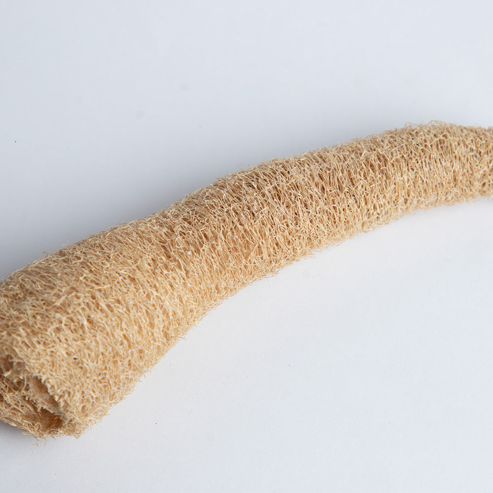 Natural Loofah